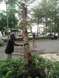 Landscaping & Gardening Works